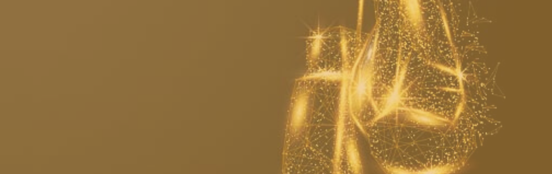 Gold Discount Brokers